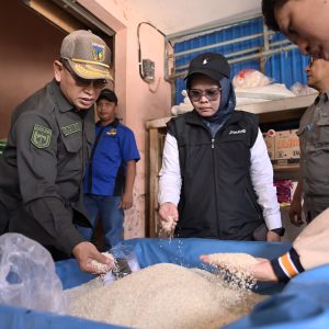 Pengecekan stok Beras di Bulog.