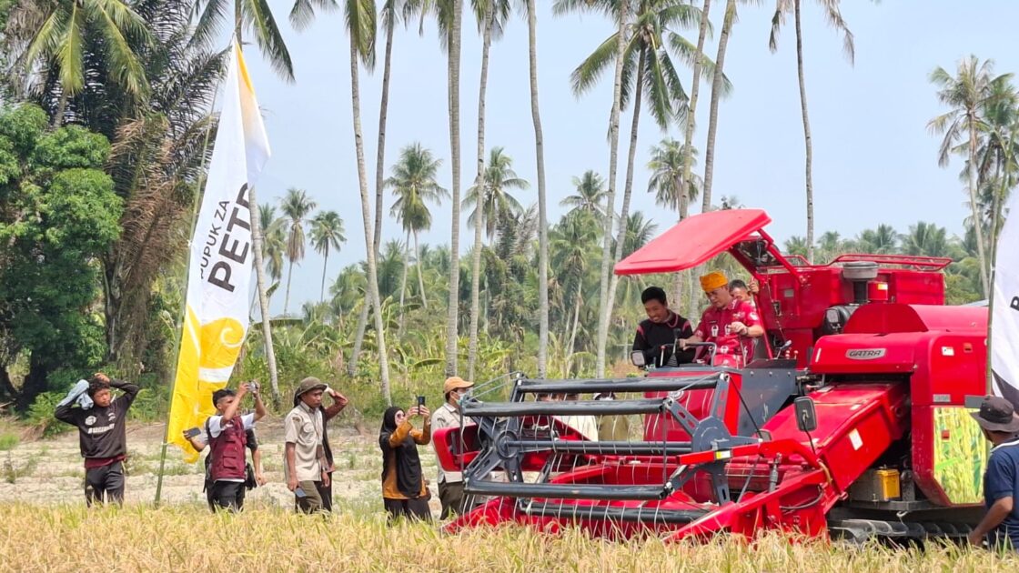 Sigi Uji Metode PM-AAS untuk Tingkatkan Hasil Panen Padi