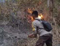 Polres Sigi bersama Tim Gabungan Berjibaku Padamkan Karhutla di Sigi
