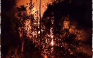 Gubernur Anwar Hafid Kerahkan BPBD Sulteng Tangani Karhutla di Poso